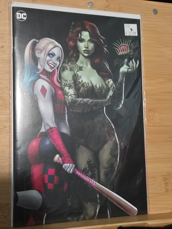 Stunning portrait cover of Harley Quinn and Poison Ivy, showcasing the iconic duo in a detailed, high-quality art style.